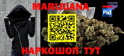 гидра Гай