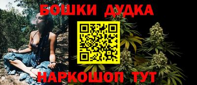 гидра Гай